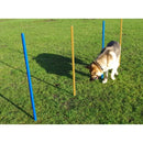 Agility Slalom Poles Pk5 - Jalex Pet Products 