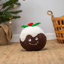 ANCOL COLIN CHRISTMAS PUDDING - Jalex Pet Products 