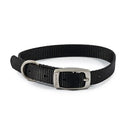 Ancol Viva Buckle Collar - Jalex Pet Products  Ancol Viva Buckle Collar