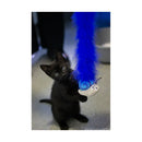 Battersea Bugs Snail Teaser - Jalex Pet Products 