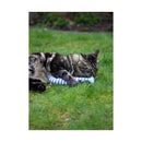 Battersea Catnip Kicker Fish - Jalex Pet Products  Battersea Catnip Kicker Fish