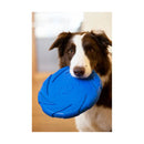 Battersea Foam Flyer - Jalex Pet Products  Battersea Foam Flyer