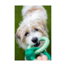 Battersea Rope and TPR Ring - Jalex Pet Products  Battersea Rope and TPR Ring
