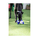 Battersea Rubber Belly Bear - Jalex Pet Products 