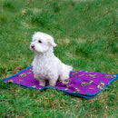 Benji & Flo Thelwell Collection Pony Friends Dog Bed - Jalex Pet Products  Benji & Flo Thelwell Collection Pony Friends Dog Bed