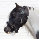 Bitz Economy Headcollar - Jalex Pet Products 
