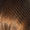 Bitz Hairnets - Standard Twinpack - Jalex Pet Products 