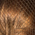 Bitz Hairnets - Standard Twinpack - Jalex Pet Products 