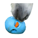 Carrot Ball - Jalex Pet Products  Carrot Ball