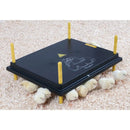 Chicktec Comfort 30 STD UK - Jalex Pet Products  Chicktec Comfort 30 STD UK