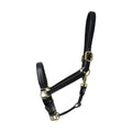 Coldstream Leather Padded Head Collar - Jalex Pet Products 