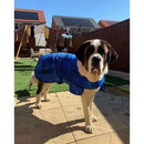 Easidri Cooling Coat - Blue - Jalex Pet Products  Easidri Cooling Coat - Blue