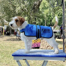 Easidri Cooling Coat - Blue - Jalex Pet Products  Easidri Cooling Coat - Blue