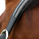 Hy Equestrian Anodize Leather Head Collar - Black/Silver - Jalex Pet Products 