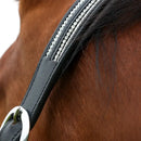 Hy Equestrian Anodize Leather Head Collar - Black/Silver - Jalex Pet Products  Hy Equestrian Anodize Leather Head Collar - Black/Silver