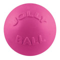 Jolly Pets Bounce-n-Play - Jalex Pet Products  Jolly Pets Bounce-n-Play