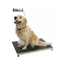 Kruuse Walk-On Scale - Jalex Pet Products  Kruuse Walk-On Scale