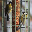 The Nuttery Original Nut Squirrel Proof Wild Bird Feeder - Jalex Pet Products  The Nuttery Original Nut Squirrel Proof Wild Bird Feeder