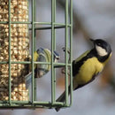 The Nuttery Original Nut Squirrel Proof Wild Bird Feeder - Jalex Pet Products  The Nuttery Original Nut Squirrel Proof Wild Bird Feeder
