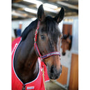 Whitaker Headcollar Padded Fleece Red/Navy - Jalex Pet Products 