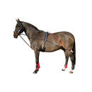 Whitaker Training System Navy/Red - Jalex Pet Products 
