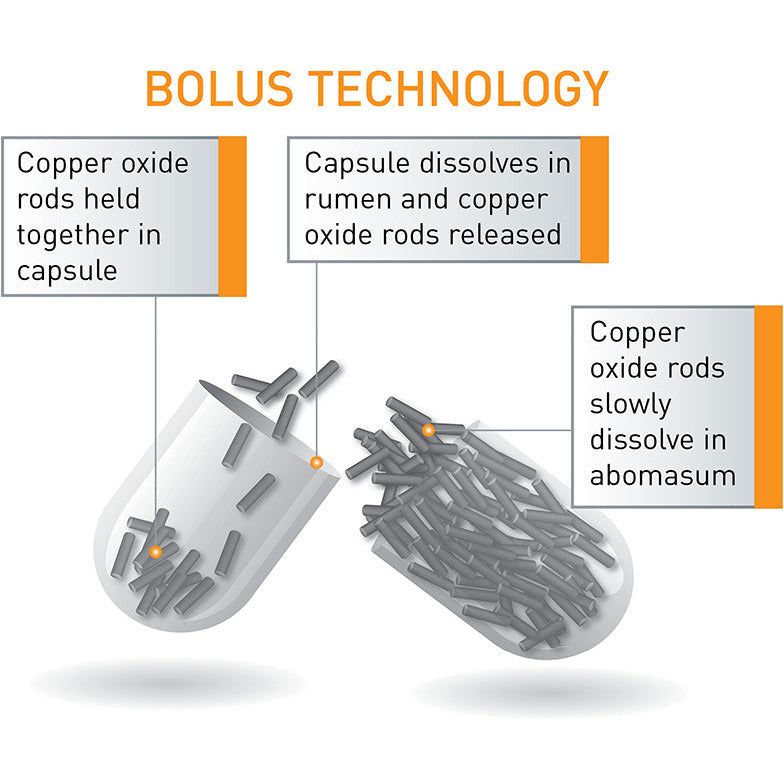 Agrimin 24-7 Copper Capsules Sheep