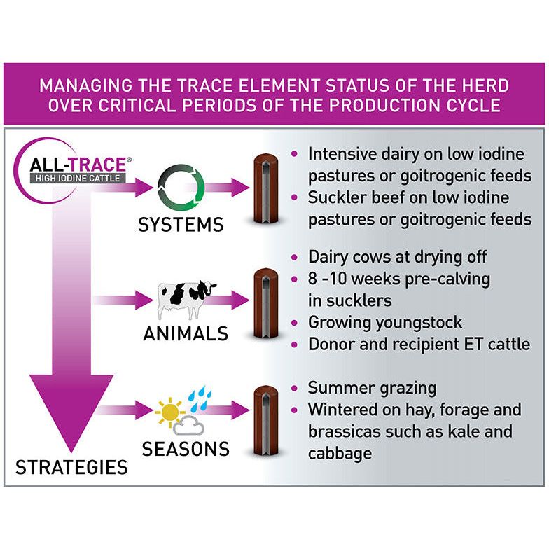 Agrimin All-Trace High Iodine for Cattle