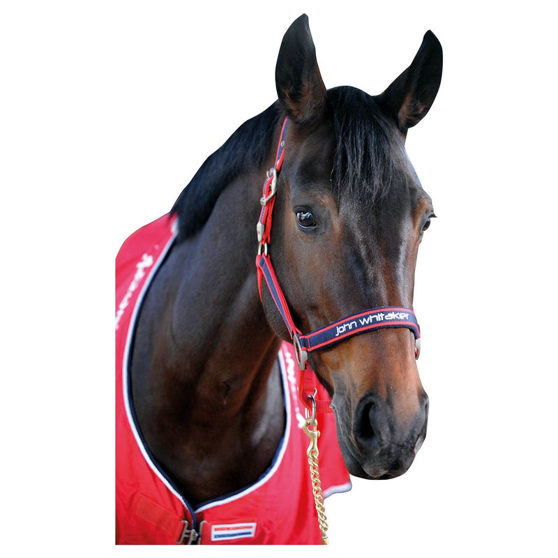 Whitaker Headcollar Padded Fleece Red/Navy