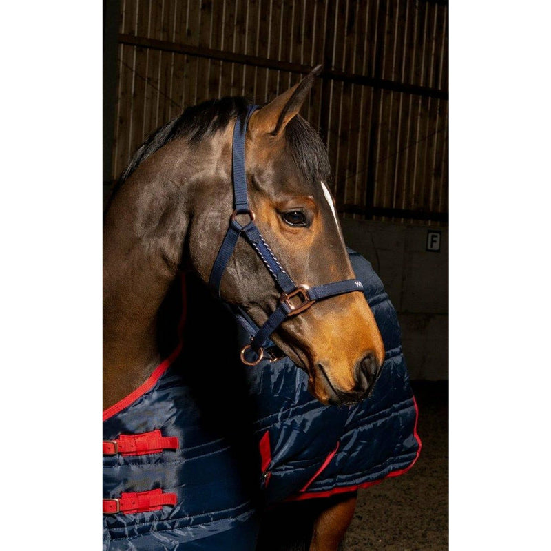 Whitaker Headcollar Bradshaw Navy