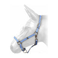 W-Horse Headcollar Harvey