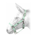 W-Horse Headcollar Harvey