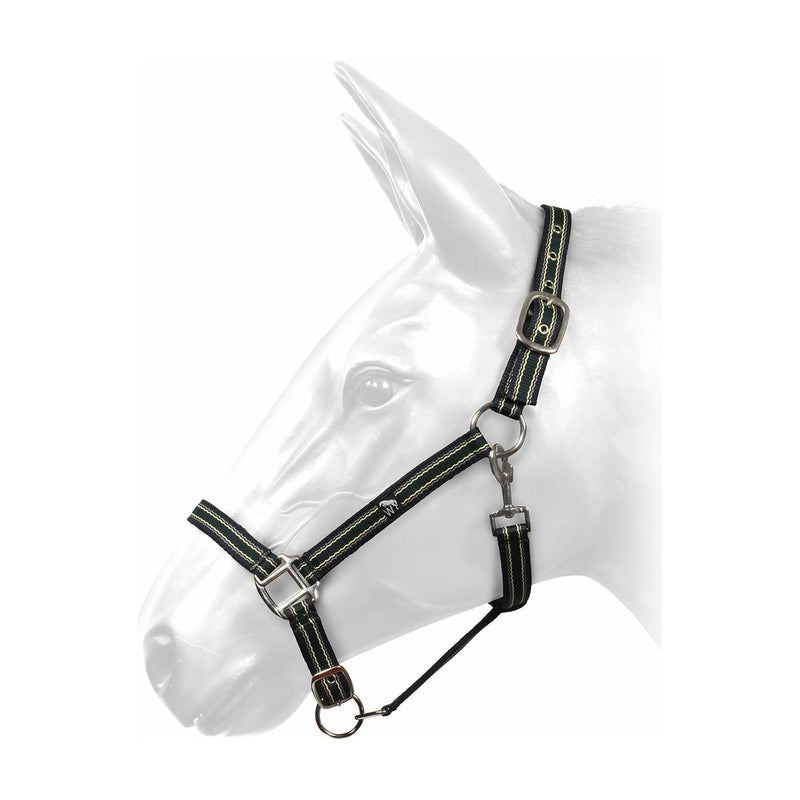 W-Horse Headcollar Harvey