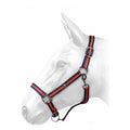 W-Horse Headcollar Harvey