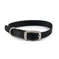 Ancol Viva Buckle Collar - Jalex Pet Products 