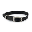 Ancol Viva Buckle Collar - Jalex Pet Products 