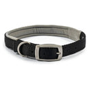 Ancol Viva Padded Buckle Collar - Jalex Pet Products 