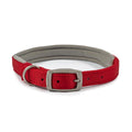 Ancol Viva Padded Buckle Collar - Jalex Pet Products 