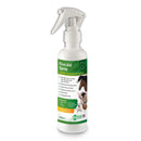 Aqueos First Aid Spray - Jalex Pet Products 