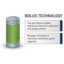 Beef Cattle ESey Breeder Adult Cattle - Jalex Pet Products 