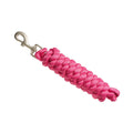 Bitz Basic Lead Rope With Trigger Clip - Jalex Pet Products 