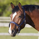 Bitz Deluxe Padded Headcollar - Jalex Pet Products 