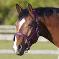 Bitz Deluxe Padded Headcollar - Jalex Pet Products 