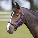 Bitz Everyday Adjustable Headcollar - Jalex Pet Products 