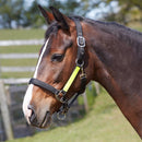 Bitz Field Safe Headcollar With Hi-Viz Trim - Jalex Pet Products 