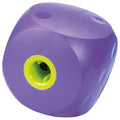Buster Mini Cube Small - Jalex Pet Products 