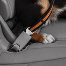 Kurgo Direct to Seatbelt Swivel Tether - Jalex Pet Products 