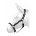 W-Horse Headcollar Harvey - Jalex Pet Products 
