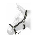 W-Horse Headcollar Harvey - Jalex Pet Products 