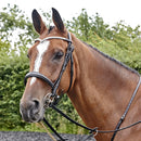 Whitaker Lynton Snaffle Bridle C/W Spare Browband - Jalex Pet Products 